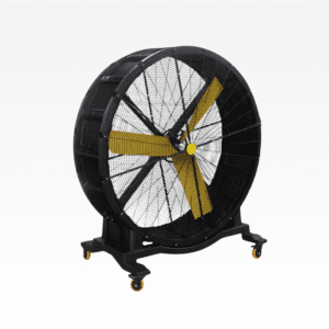 Gym Fan Unique Products