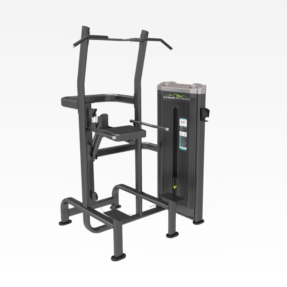 Weight Assisted Chin Dip Star Series