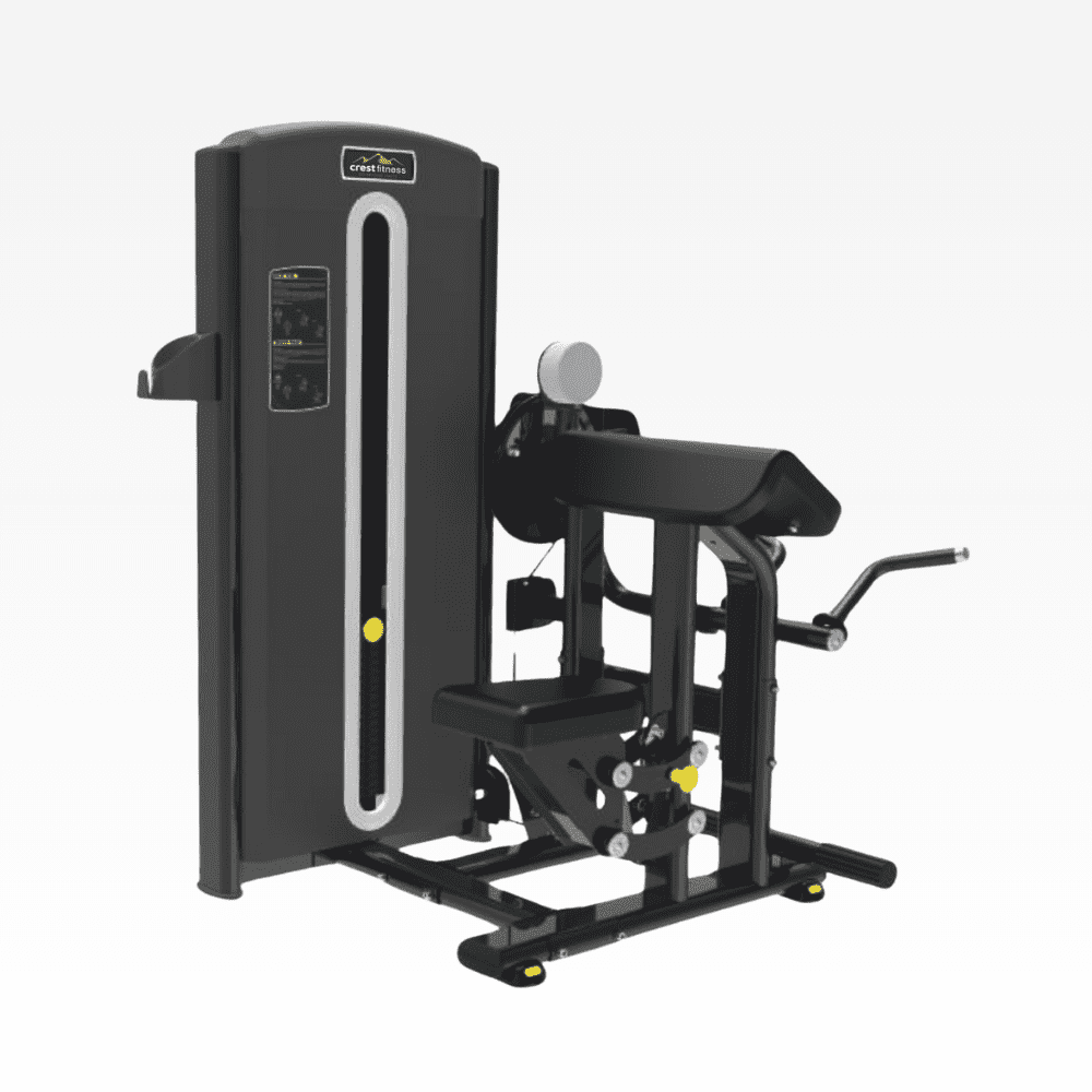 Biceps Curl Triceps Extension AL 04 Alpha Series