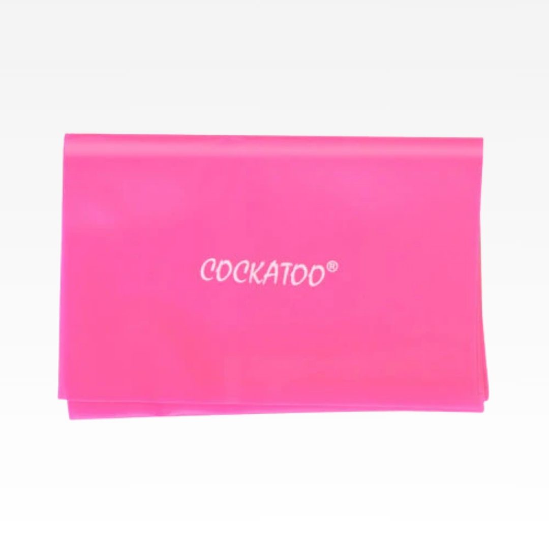 Exercise Band – Light Crossfit & Other Accessories