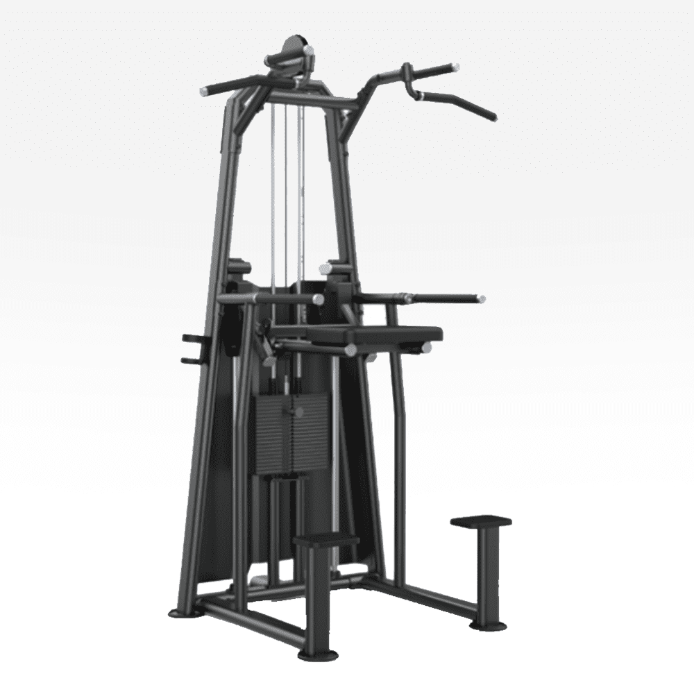 Weight Assisted Chin Dip Knight Series