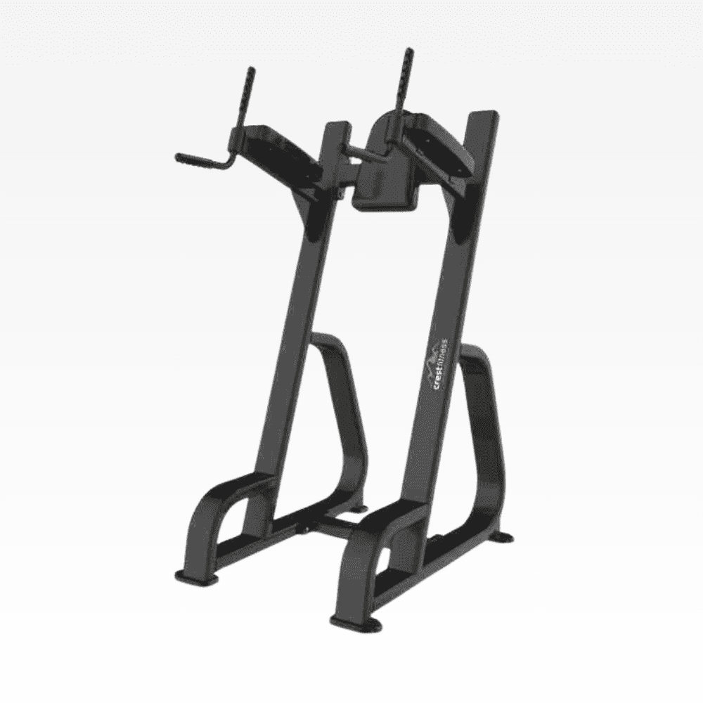 Vertical Knee Raise 2.0 Racks, Rigs & Platforms